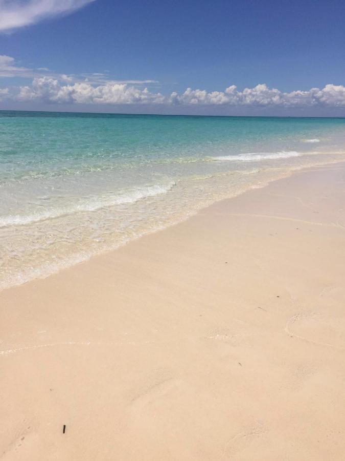 Villa Thamani Zanzibar 普瓦尼梅查恩加尼 外观 照片