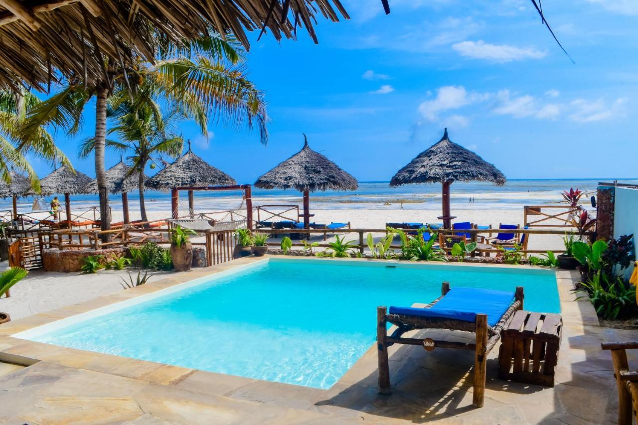 Villa Thamani Zanzibar 普瓦尼梅查恩加尼 外观 照片